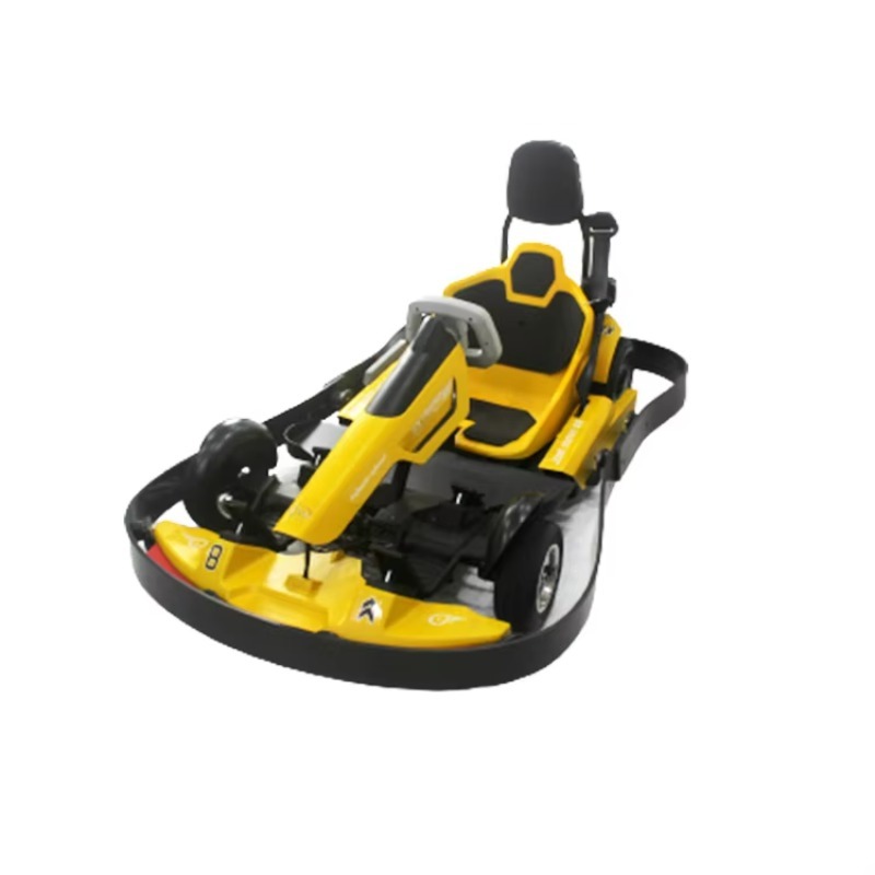 어린이 및 성인용 놀이공원 페달 고카트, 레이싱용 전동 - Go Kart Pedal Kids 리뷰 및 가격